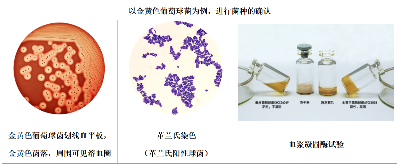 1101無菌檢查法——培養(yǎng)基適用性檢查操作要點(中國藥典2020年版四部) 1101無菌檢查法——培養(yǎng)基適用性檢查操作要點(中國藥典2020年版四部)