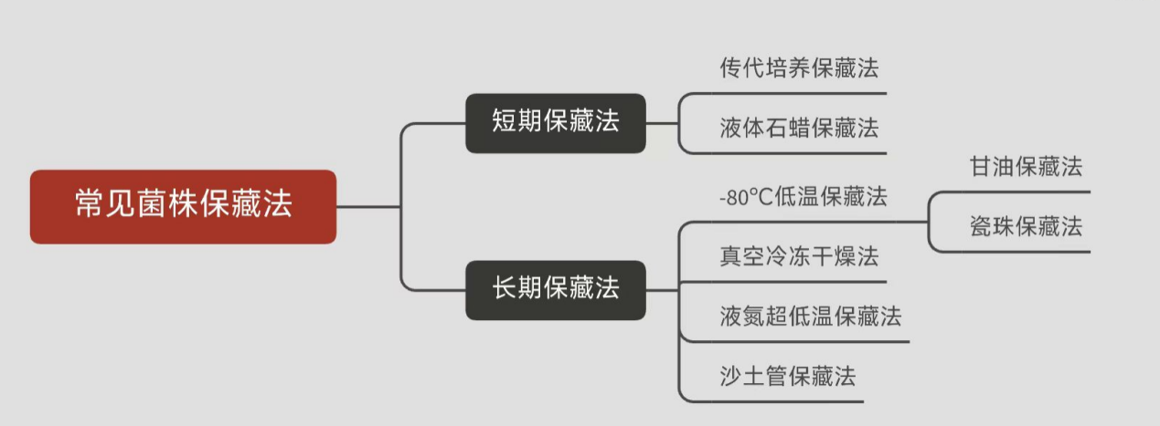 常見菌株保藏法的優(yōu)缺點對比 常見菌株保藏法的優(yōu)缺點對比