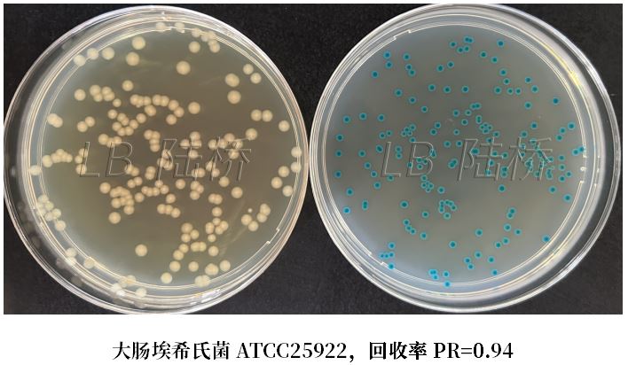 GB 4789.38－2025《食品安全國(guó)家標(biāo)準(zhǔn)　食品微生物學(xué)檢驗(yàn)　大腸埃希氏菌計(jì)數(shù)》解讀