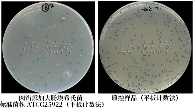 GB 4789.38－2025《食品安全國(guó)家標(biāo)準(zhǔn)　食品微生物學(xué)檢驗(yàn)　大腸埃希氏菌計(jì)數(shù)》解讀